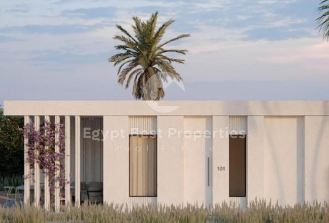 8110498 - Property Image 3