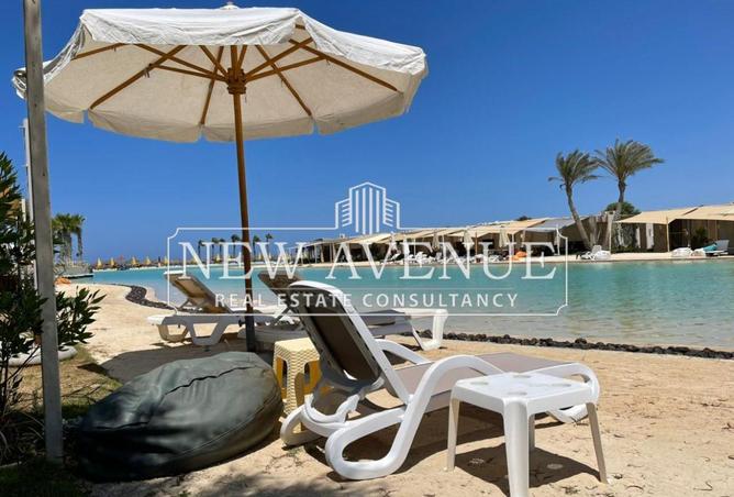 8318393 - Property Image 3