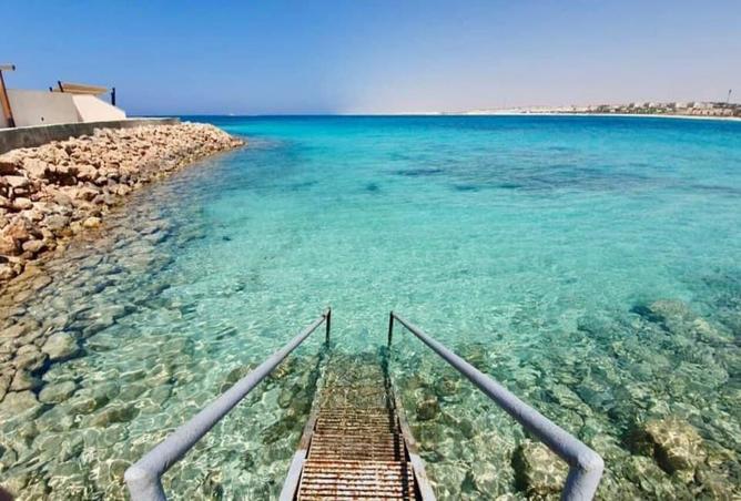 7994665 - صورة العقار 3