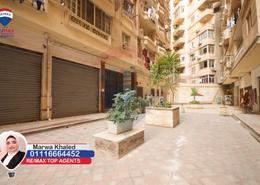 Apartment - 2 bedrooms - 1 bathroom for للايجار in 14th of May Bridge - Smouha - Hay Sharq - Alexandria