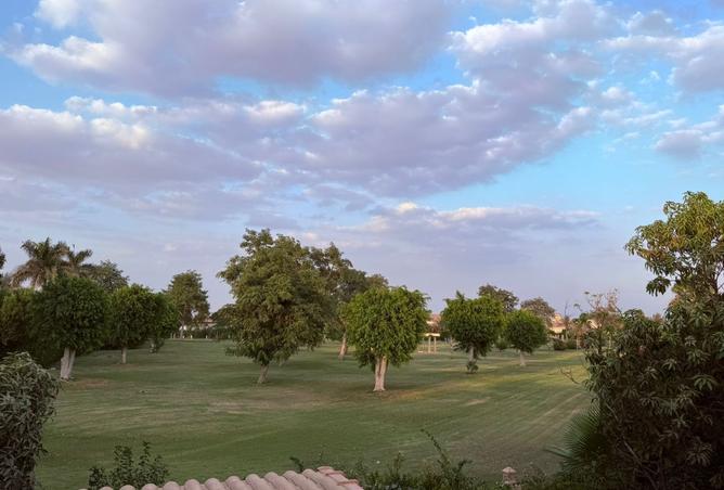 8089245 - Property Image 3