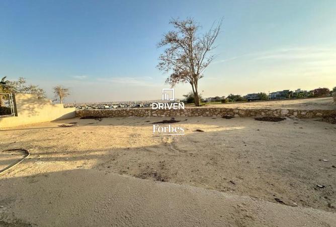 8099277 - Property Image 3