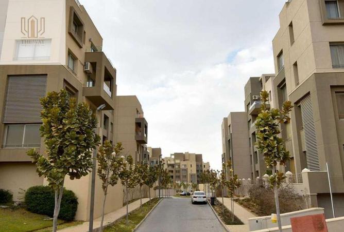 8123881 - Property Image 3