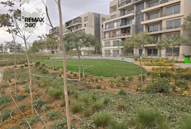 8432902 - Property Image 3