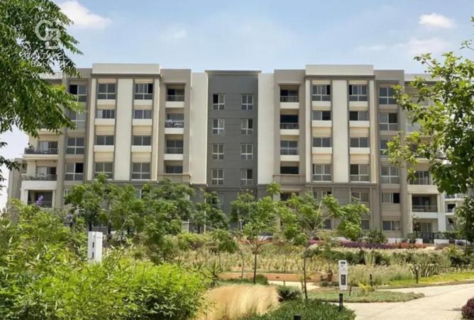 8369239 - Property Image 3