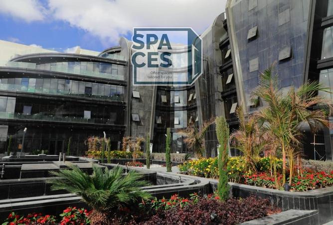 8174198 - صورة العقار 3