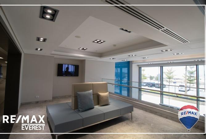 8335400 - Property Image 3