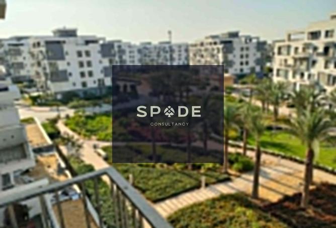 8400010 - صورة العقار 3