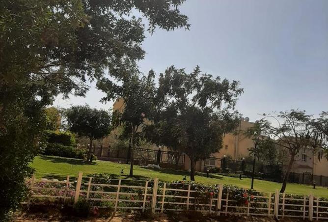 8146663 - صورة العقار 3