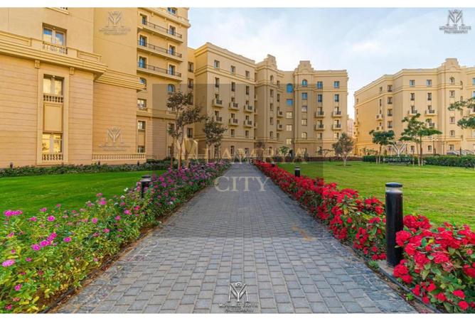 7975287 - Property Image 3