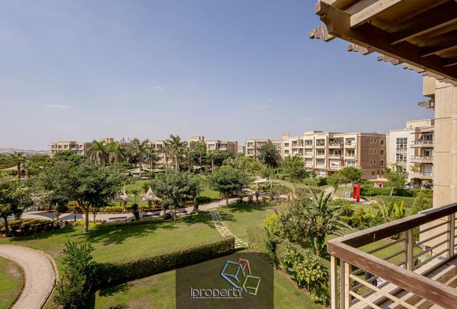 7903696 - Property Image 2