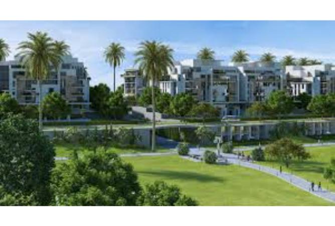 8137485 - Property Image 3