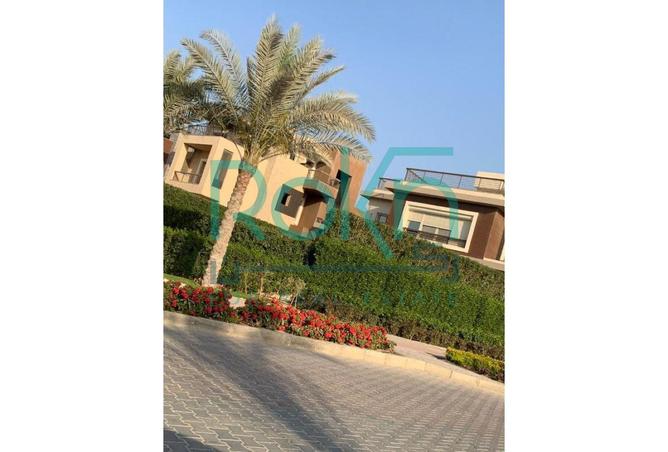 7793153 - Property Image 3
