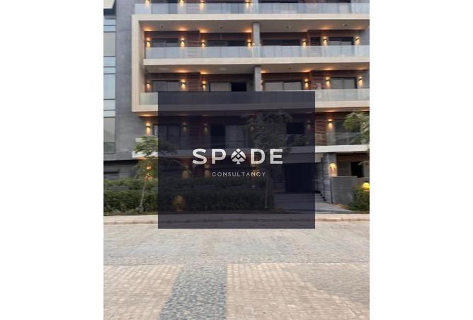 8232942 - Property Image 2