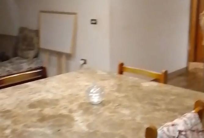 8362397 - صورة العقار 2