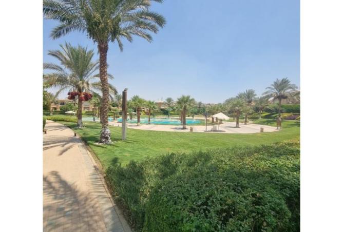 7905827 - صورة العقار 2