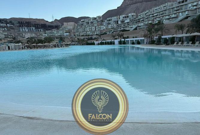 8437383 - Property Image 2