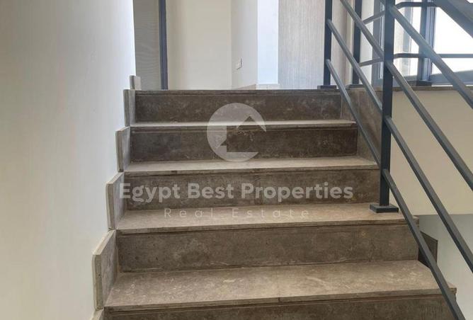7903660 - Property Image 2