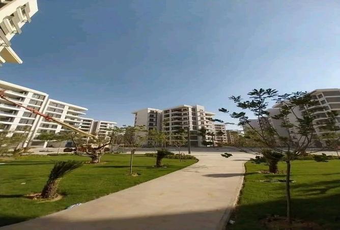 7986598 - صورة العقار 3