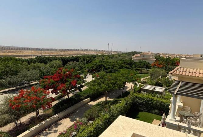 7949725 - صورة العقار 3