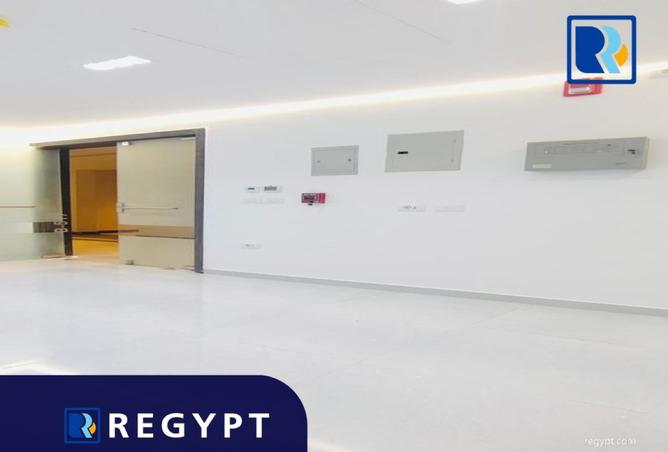 8460164 - Property Image 3