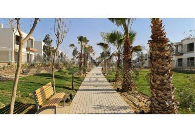 7975472 - Property Image 3