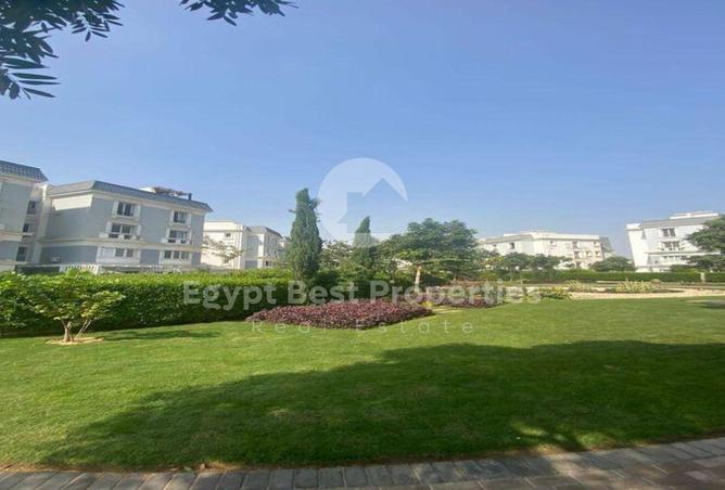 8018521 - Property Image 3