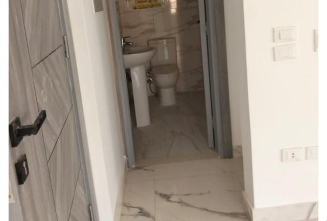 8467312 - Property Image 3