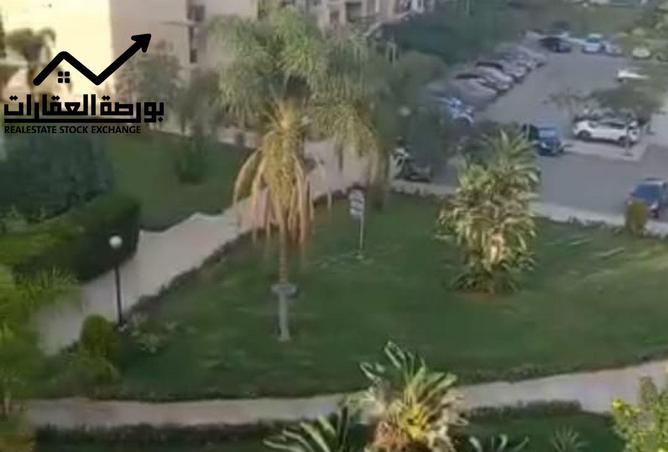 8063058 - صورة العقار 2