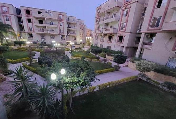 8031487 - صورة العقار 3