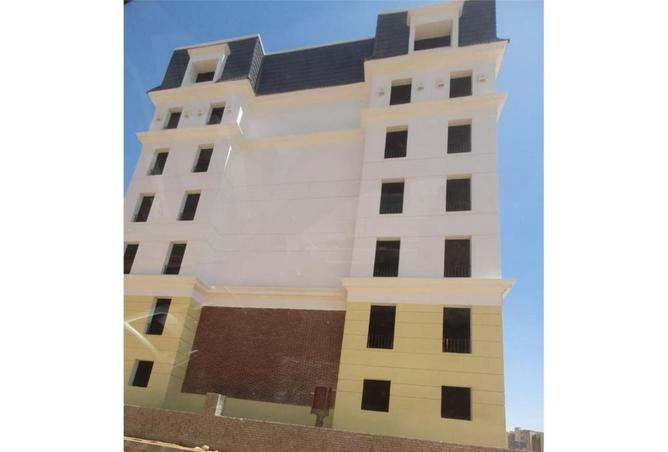 8187460 - Property Image 3