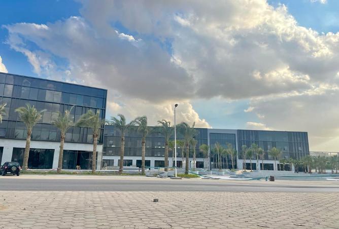 8251717 - Property Image 3