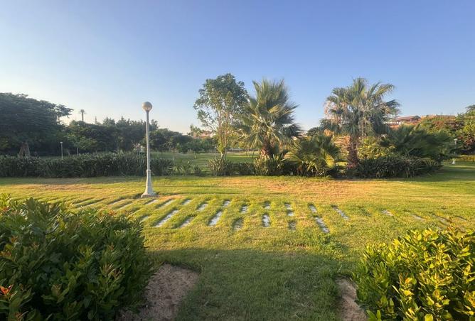 7957181 - صورة العقار 3