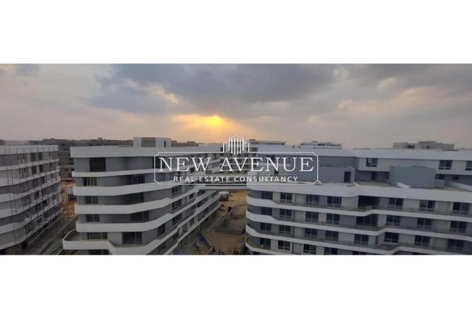 8331069 - Property Image 3