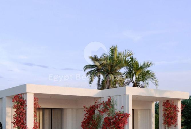 8456859 - Property Image 2