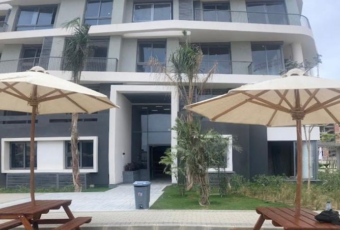 8431170 - Property Image 3