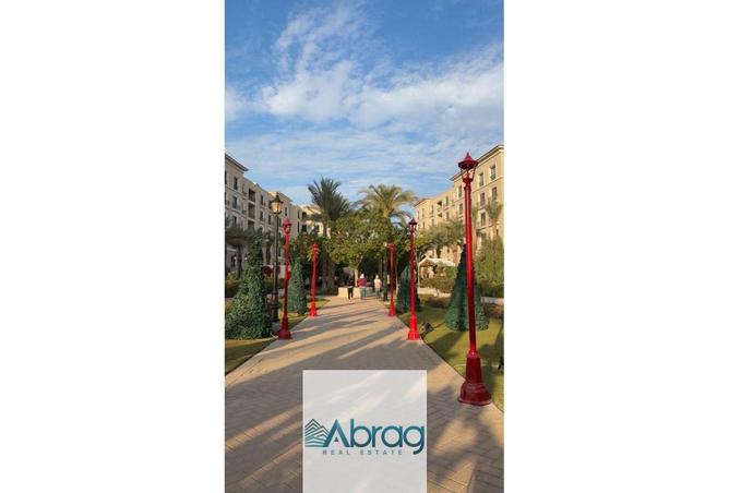 8509393 - Property Image 2