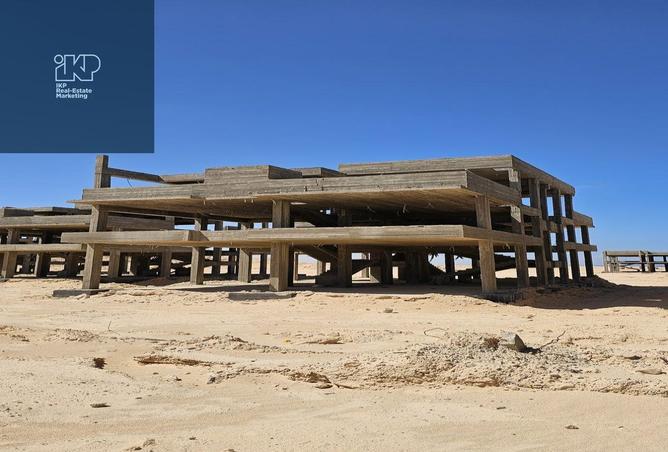 8170819 - صورة العقار 2