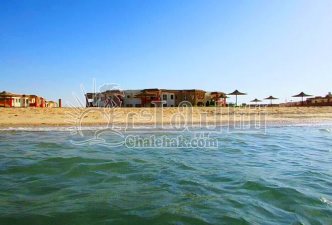 8266682 - Property Image 3