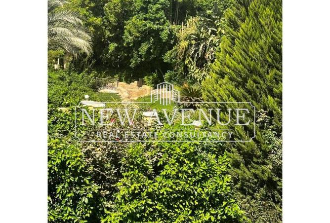 8205913 - Property Image 3