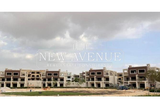 8250295 - Property Image 3