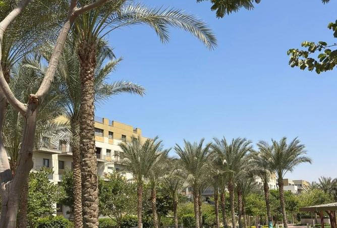 7960558 - صورة العقار 2