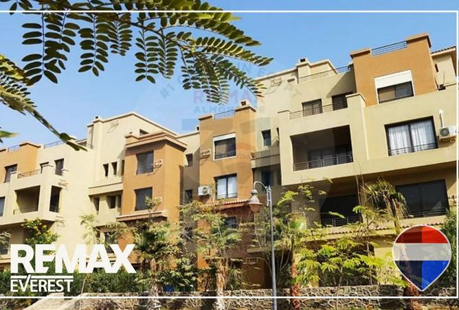 8379003 - Property Image 3