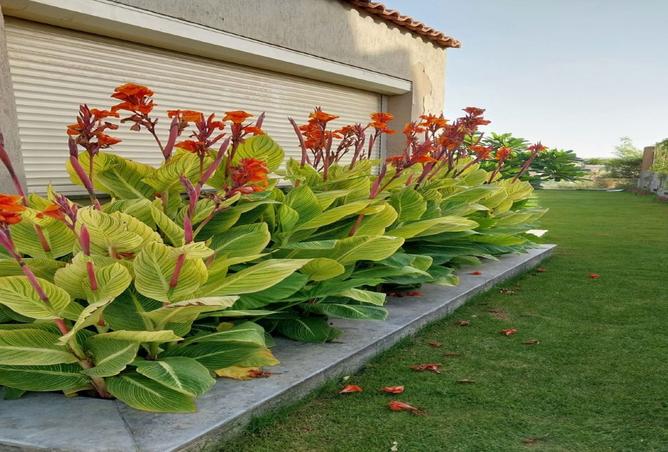 8516401 - Property Main Image