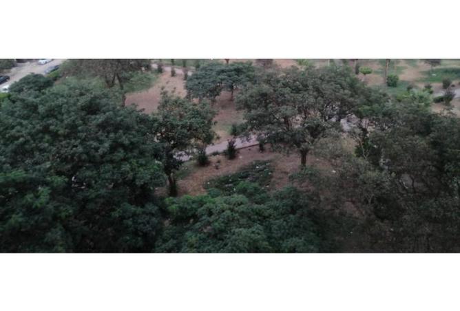 7963863 - صورة العقار 2