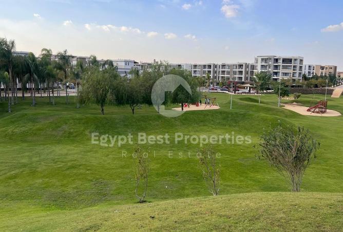 7977983 - Property Image 3