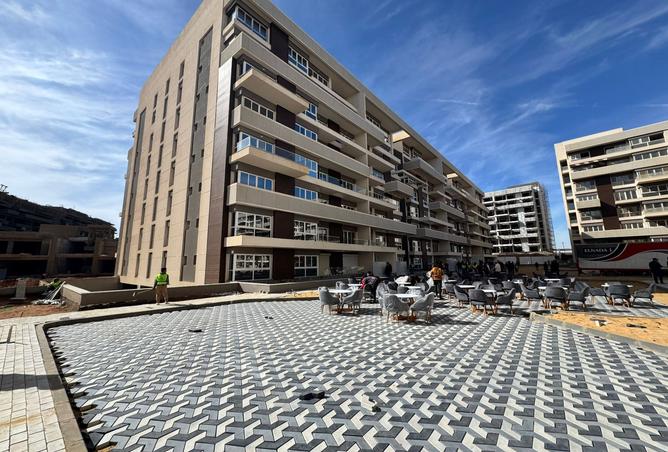 7994393 - Property Image 3