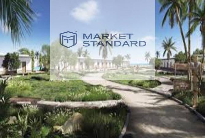 8429712 - Property Image 3