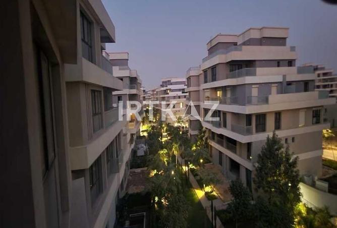 8039026 - صورة العقار 3