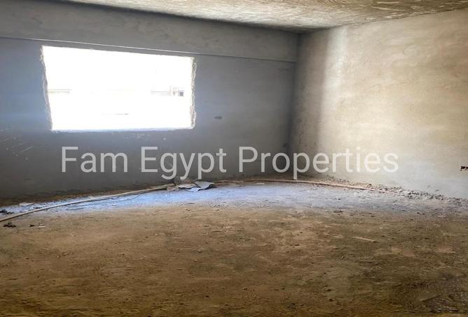 8113165 - Property Image 2